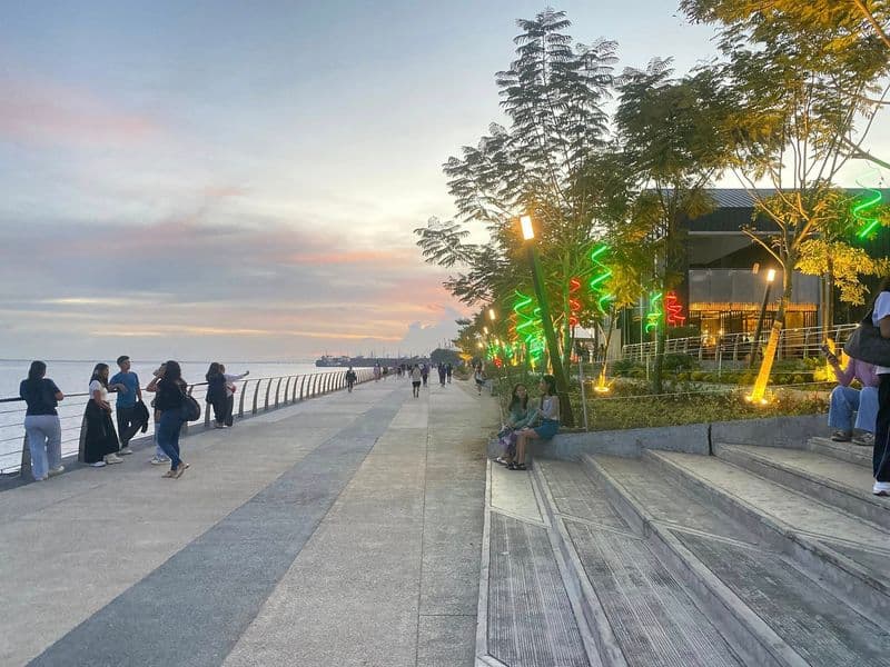 Large-Scale Commercial & Office Space in Mandaue